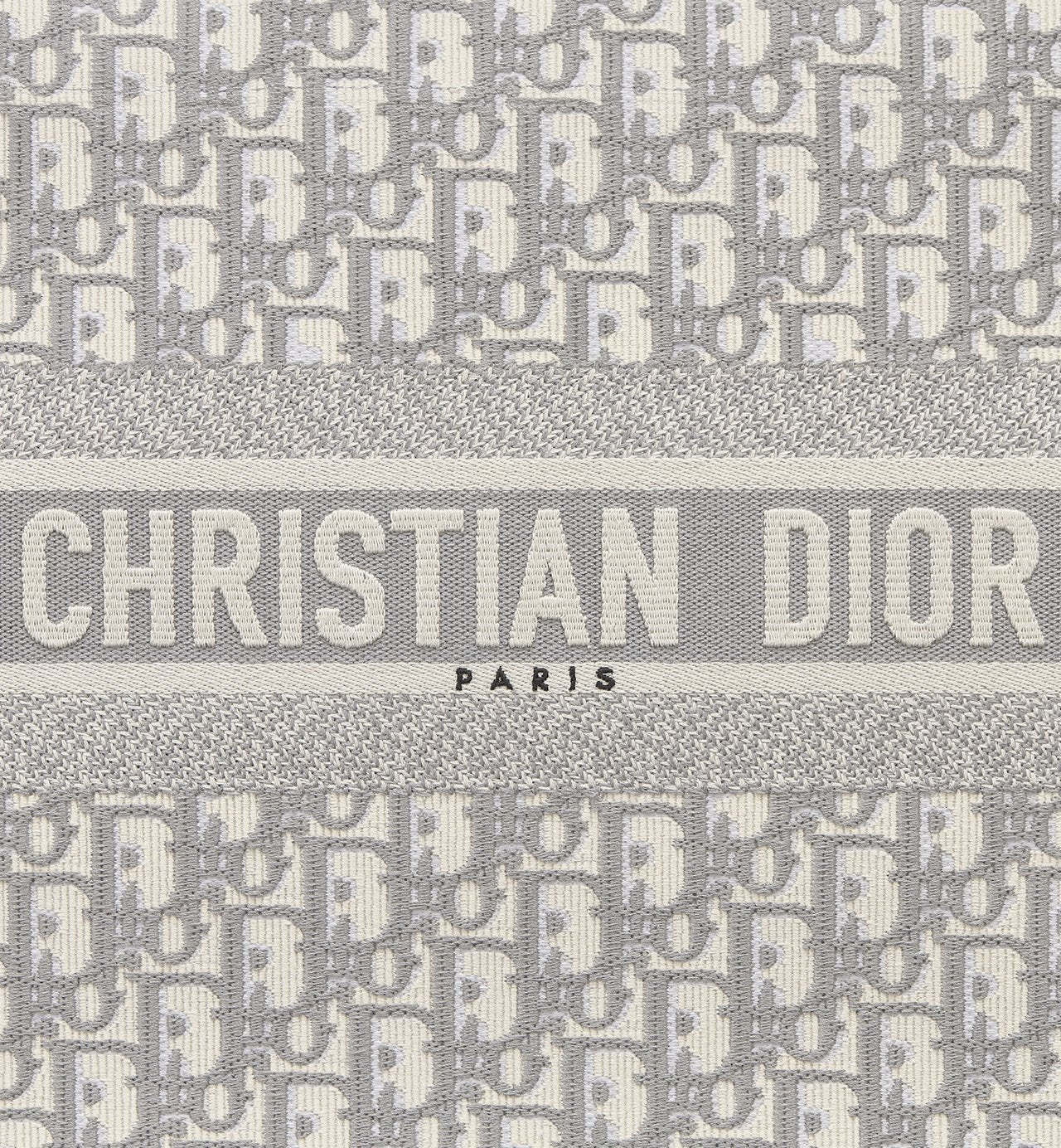 Sac Dior Book Tote Medium