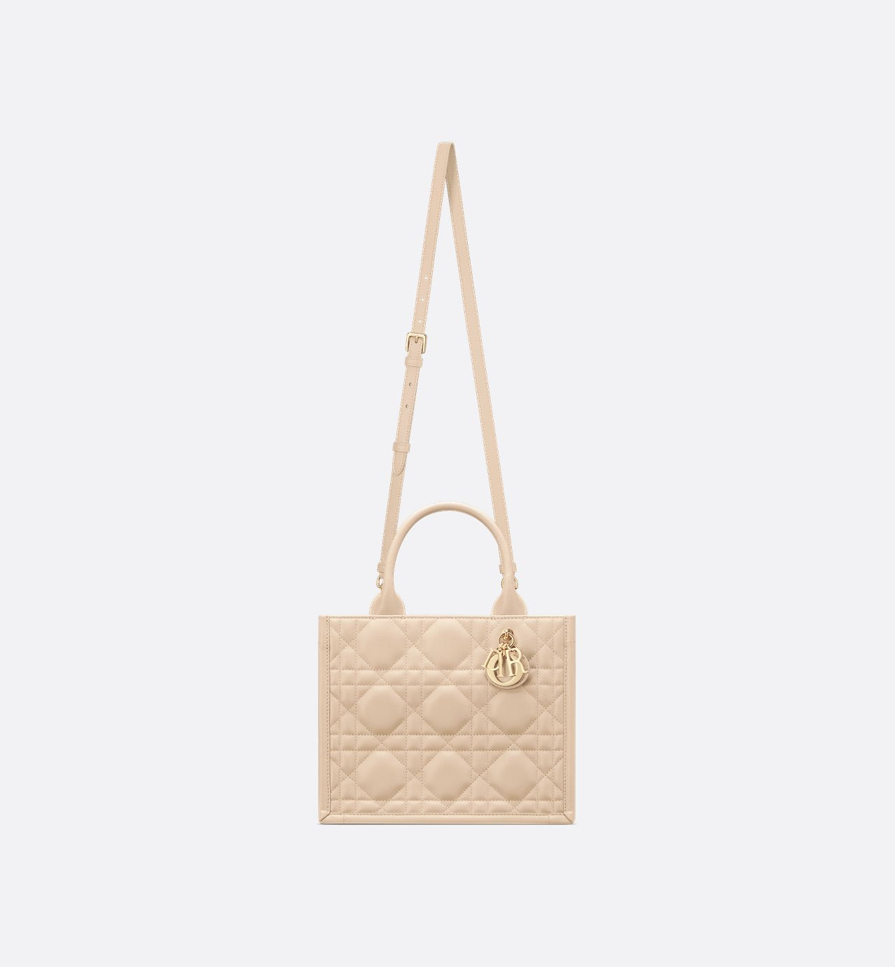 Sac Dior Book Tote petit modèle