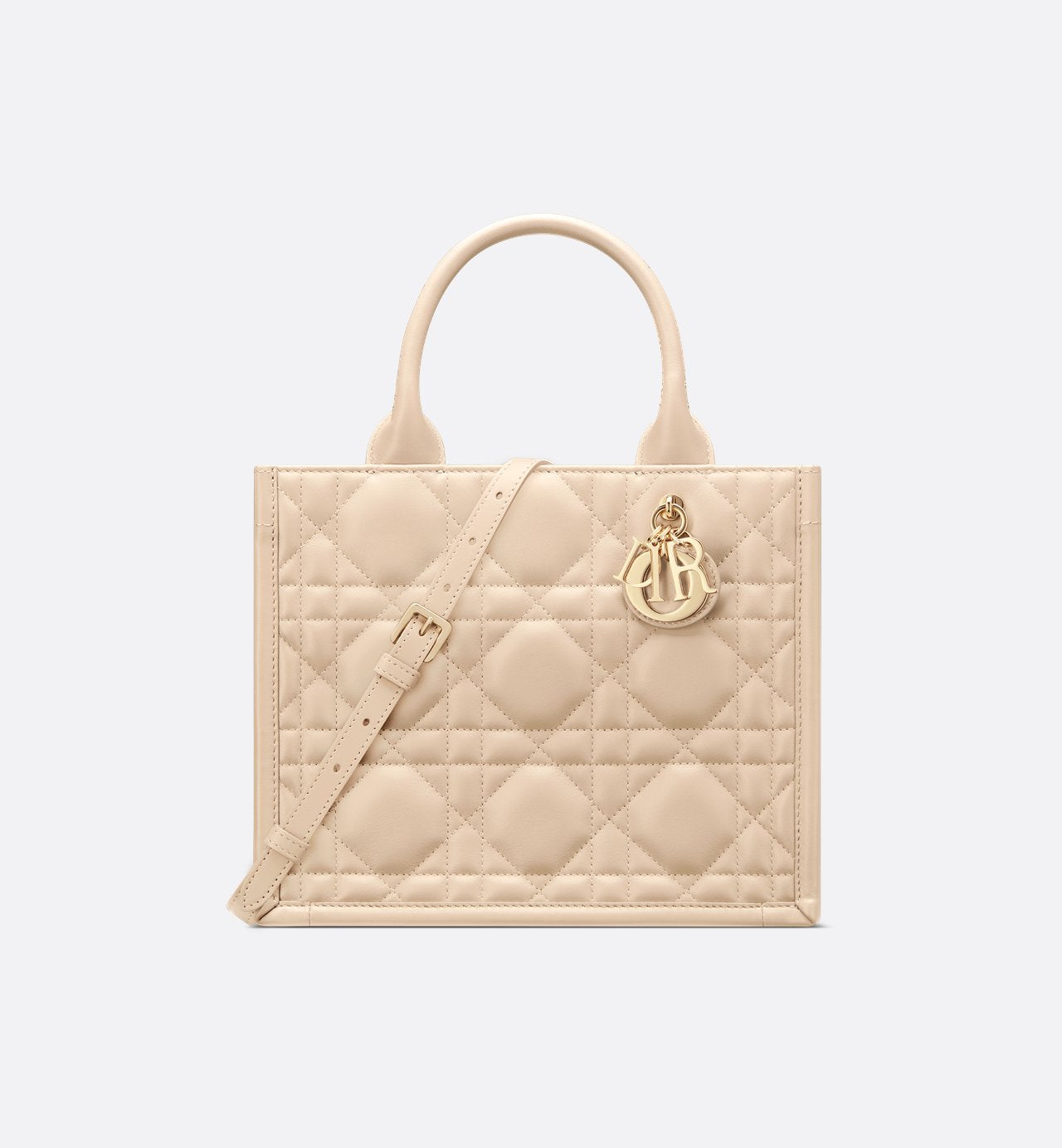 Sac Dior Book Tote petit modèle