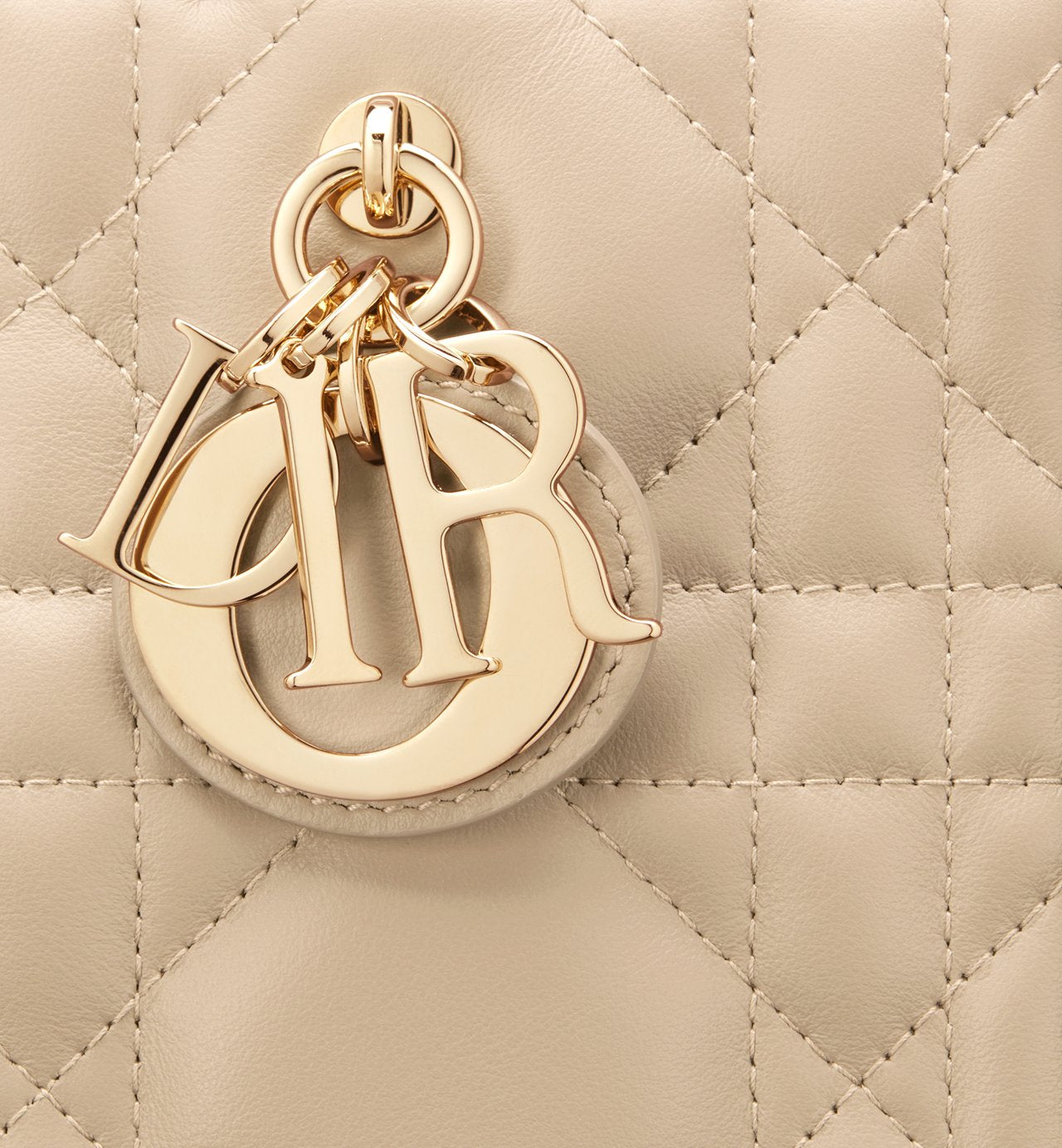 Sac Dior Book Tote petit modèle