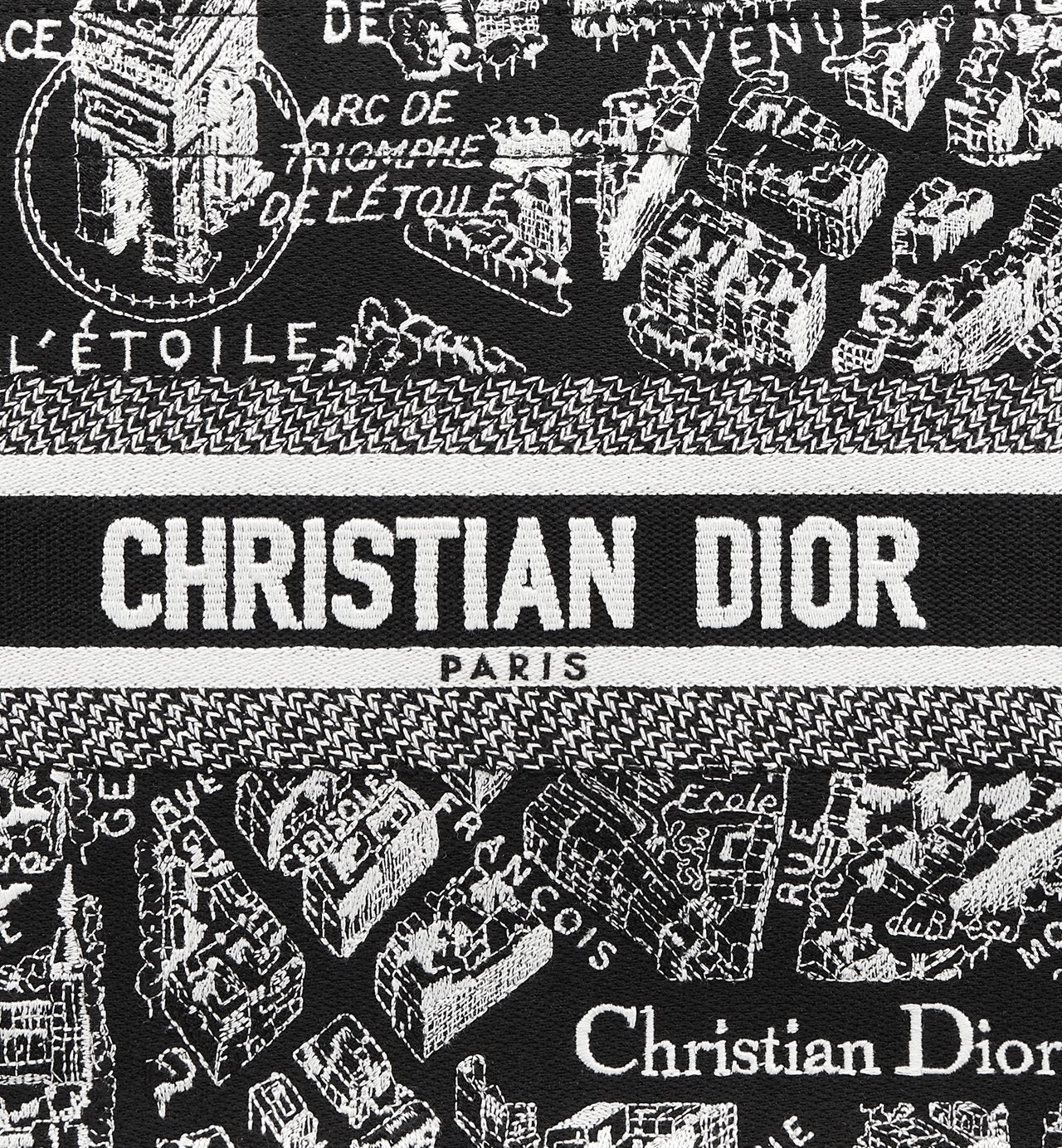 Sac Dior Book Tote Small